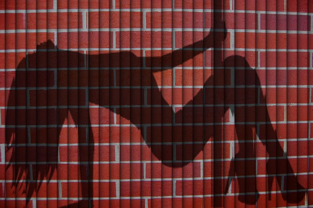 a woman’s shadow dancing on the brick wall